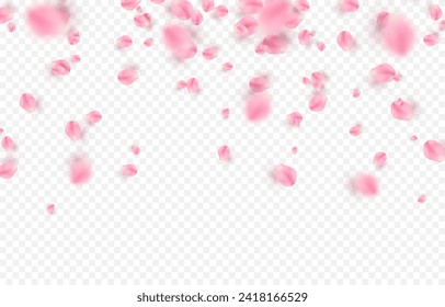 Vector rose petals png. Flying sakura or rose petals. Petals png.