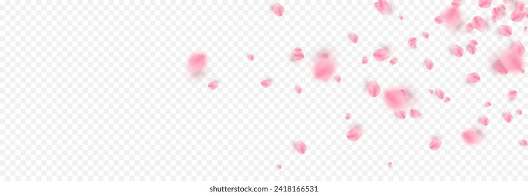 Vector rose petals png. Flying sakura or rose petals. Petals png.