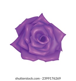 Vector rose realistic with purple flower isolated.