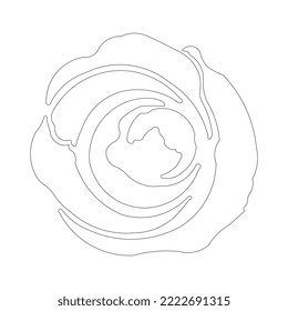 vector rose trendy template design