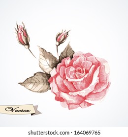 Vector Rose watercolor. Vector illustration for greeting cards, invitations, and other printing and web projects.