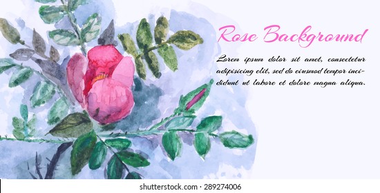 Vector Rose watercolor. Vector illustration for greeting cards, invitations, and other printing and web projects.