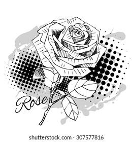 Vector rose. White and black-2