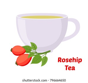 Vector rosehip tea, rose haw cup, medical herbal plant. Organic vegetarian briar tea. Made in cartoon flat style