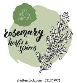 Vector rosemary. Handwritten unique lettering. Objects for menu design. Menu for bar, cafe, restaurant. Healthy collection of product labels. Herbs and spices collection.