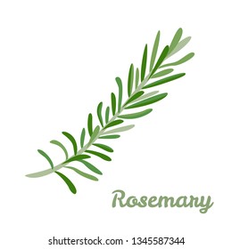 Vector rosemary. Icon flavored spices. Illustration of spicy herbs in cartoon simple flat style.