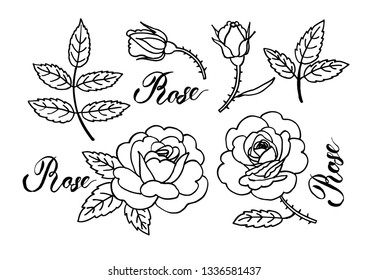 Vector roses. Can be used as romantic background for web pages, wedding invitations, greeting cards, postcards, textile design, tatoos, stickers, prints.