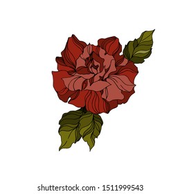 Vector Roses floral botanical flowers. Wild spring leaf wildflower isolated. Black and white engraved ink art on white background. Isolated roses illustration element.