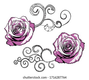 vector roses with flourishes isolated on white