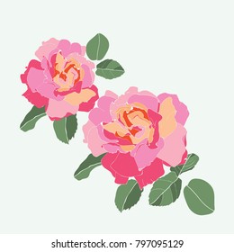 Vector with roses. Hand-drawn flowers  for background greeting cards and invitations of the wedding, birthday, Valentine's Day