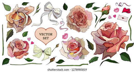 Vector roses and saint valentine's day elements set isolated on the white background for floral decoration. Hearts, kiss, bow.  