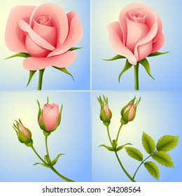 vector roses set blue