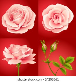 vector roses set red