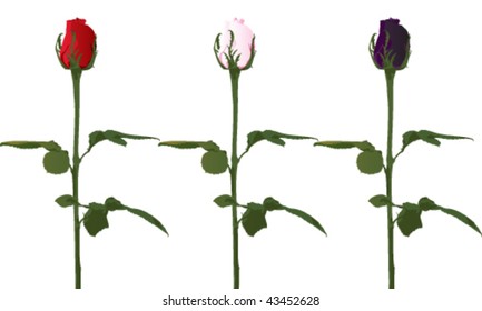 Rosas vectoriales, conjunto de tres variaciones de color.
