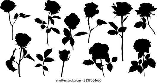 Vector roses silhouettes. Leaves and flowers design elements on white background.