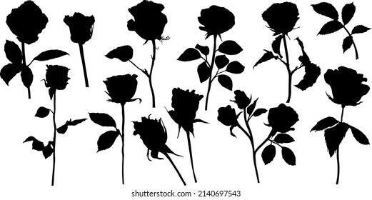 Siluetas de rosas vectoriales. Las hojas y flores diseñan elementos sobre fondo blanco.