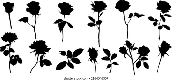 Vector roses silhouettes. Leaves and flowers design elements on white background.