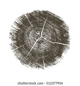 Vector rough aged wood texture cross section of tree rings. Cut slice of wooden stump isolated on white.