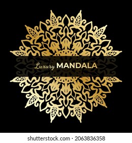 Vector round abstract circle. Luxury Mandala style.