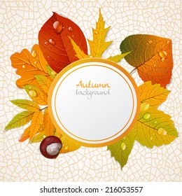 Vector round autumn leaves banner 