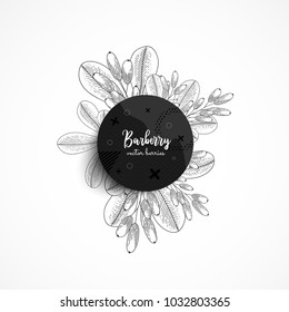 Vector round banner with barberry. Modern banner with hand drawn berries. With place for text. Healthy food. Great design for natural and organic products, label, poster, packaging design