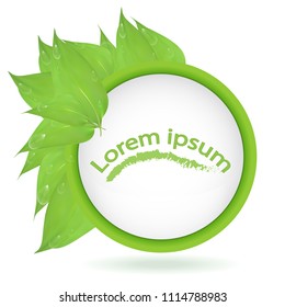 vector. Round banner of branches with leaves and water drops, isolated on white background. Green leaves and space for text. banner presentation, form for design, lorem ipsum,dew