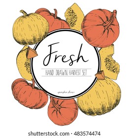 Vector round border color illustration of fresh vegetables. Pumpkin slices. Hand drawn vintage engraved set of vegetarian tasty organic food.