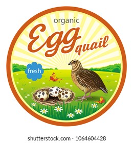 Vector round colorful quail egg label