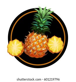 Vector round composition. Summer illustration with exotic fruits. Suitable for posters, flyers, cover designs, etc.