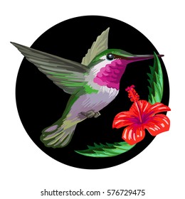 Vector round design  Realistic style  Colorful painting and tropical bird   exotic flowers 