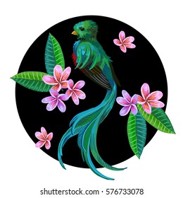 Vector round design. Realistic style. Colorful painting with tropical bird and exotic flowers.