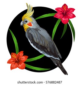 Vector round design. Realistic style. Colorful painting with tropical bird and exotic flowers.