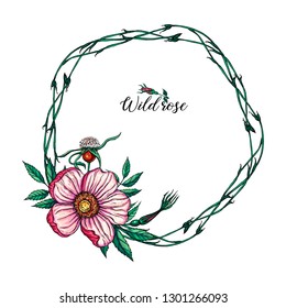 vector round flower wreath with flowers and wild rose leaves