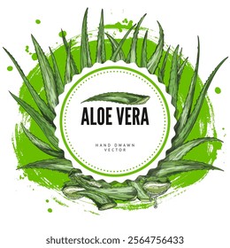 Vector round frame with aloe vera, a useful plant with prickly leaves in the style of a hand-drawn drawing on a white background. Botanical design for care cosmetics