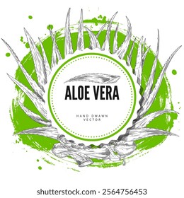 Vector round frame with aloe vera, a useful plant with prickly leaves in the style of a black and white sketch. Botanical design for organic cosmetics