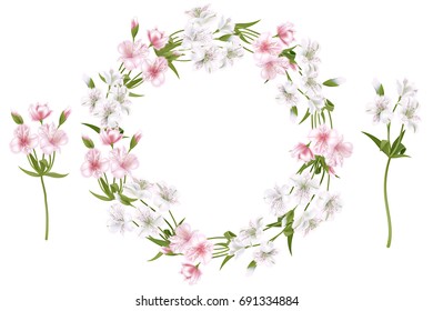 Vector round frame of Alstroemeria