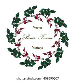 Vector round frame with the briar (brier). Vector colored red & green eglantine frame. Vintage template card. Save the date vector circular illustration.