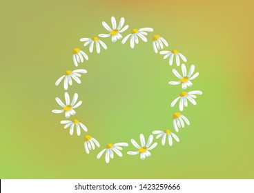 Vector round frame of chamomiles in the colorful background. Floral design element.