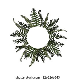 Vector round frame with hand drawn graceful fern leaves. Ink drawing, beautiful floral design elements.