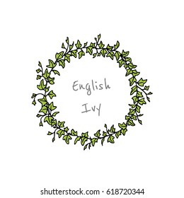 Vector round frame made of hand drawn english ivy branches. Beautiful floral design elements.
