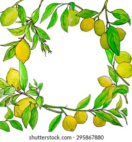 Vector round frame made of lemon branches painted by hand in watercolor. Beautiful design element, perfect for any business related to the food industry.