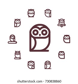 Vector round frame with owls line icon. Cartoon style, flat vector illustration for design.