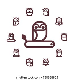 Vector round frame with owls line icon. Cartoon style, flat vector illustration for design.