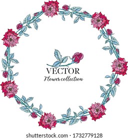 Vector round frame of watercolor roses and berries. Illustration wreath of flowers. Can be used as a greeting card for background of Valentine's day, birthday, mother's day and so on.