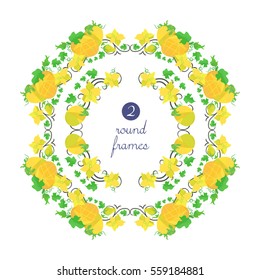 Vector round frames with orange melons and flowers in origami style