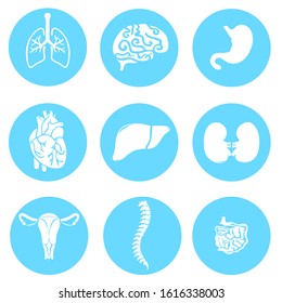 Vector round icons of human internal organs like lungs,heart,kidney,liver,spine,intestines,heart,stomach,womb. Flat design. Illustration on white