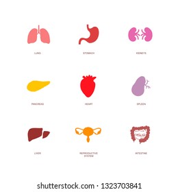 Vector round icons of internal human organs Flat design.  Isolated vector illustration