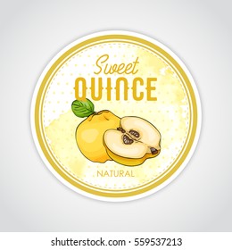 Vector round label of fruits on watercolor background, quince