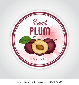 Vector round label of fruits on watercolor background, plum