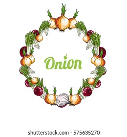 Vector round onion set with text. Illustration isolated on white background.